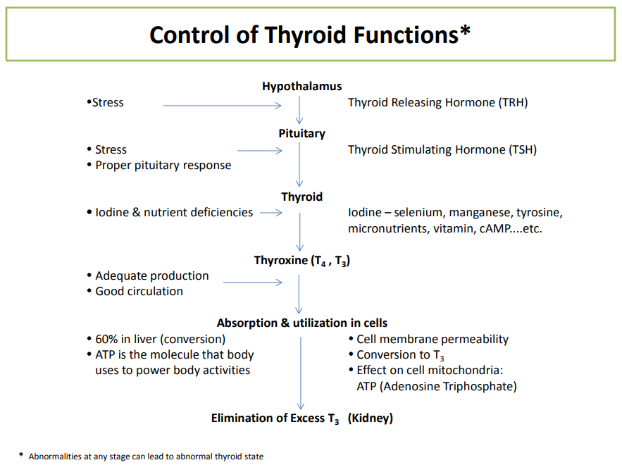 control of thyroid functions