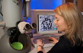2021 Research Grant Underway